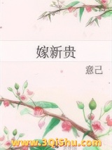 《嫁新贵》全本TXT下载-作者：意己