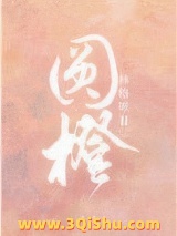 《圆橙》全本TXT下载-作者：林格啾