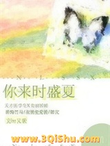《你来时盛夏》全本TXT下载-作者：又紫