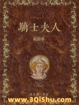 骑士夫人模拟器图片