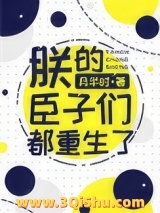 朕的臣子们都重生了图片