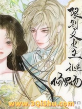 《限制文女主乱炖修罗场》全本TXT下载-作者：夜奉白