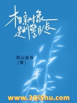《相亲对象是刑警队长》全本TXT下载-作者：燕山金吾