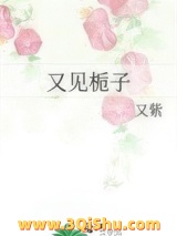《又见栀子》全本TXT下载-作者：又紫