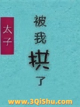 太子失忆后被我拱了图片