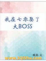 《我在七零娶了大BOSS》全本TXT下载-作者：小胖柑