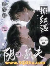 《重生后，把阴湿前夫撩红温》全本TXT下载-作者：十亿少男梦
