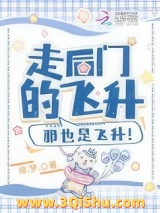 走后门的飞升，那也是飞升！图片