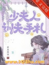 《少夫人训夫手札》全本TXT下载-作者：拥风听乐