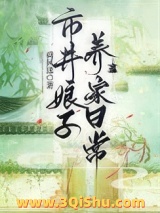 《市井娘子养家日常》全本TXT下载-作者：荷风送