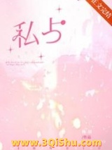 私占小说