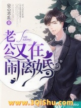 《老公又在闹离婚》全本TXT下载-作者：安心不乱