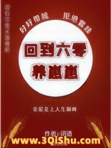 《回到六零养崽崽》全本TXT下载-作者：词酒
