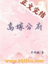 《高嫁公府》全本TXT下载-作者：月明珠