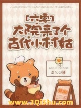 《大院来了个古代小村姑》全本TXT下载-作者：茶乂
