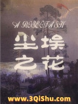 《尘埃之花》全本TXT下载-作者：采葑采菲