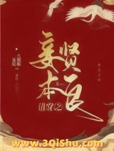 清穿之妾本贤良图片