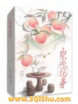 崇德纪事（清穿）小说