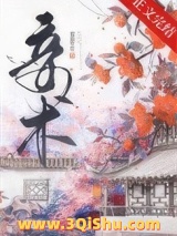 妾术小说