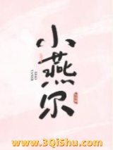 小燕尔小说