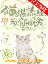 《猫猫热线为你服务》全本TXT下载-作者：暮安浅