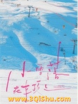 小雪落在车顶上小说