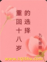《重回十八岁的选择》全本TXT下载-作者：九月蔷薇