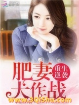 《重生逆袭：肥妻大作战》全本TXT下载-作者：木清音