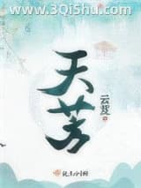 《天芳》全本TXT下载-作者：云芨