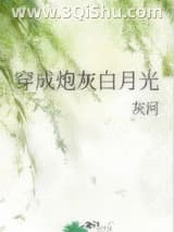 《穿成炮灰白月光》全本TXT下载-作者：灰河