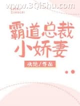 霸道总裁小娇妻小说
