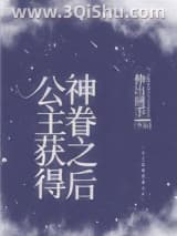 《公主获得神眷之后[西幻]》全本TXT下载-作者：伸出圆手