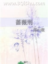 《蔷薇刑》全本TXT下载-作者：南山鹿