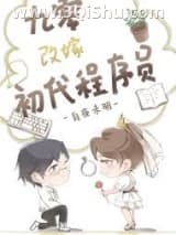 九零改嫁初代程序员小说
