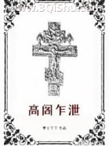 高阁乍泄小说