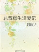 《总裁重生追妻记》全本TXT下载-作者：简韶华