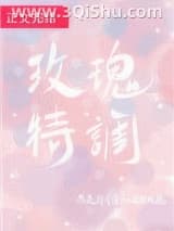 《玫瑰特调》全本TXT下载-作者：殊娓