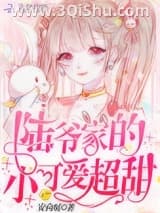 《陆爷家的小可爱超甜》全本TXT下载-作者：安向暖