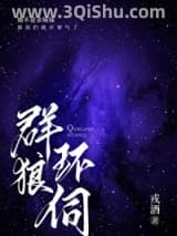 《群狼环伺》全本TXT下载-作者：戎酒