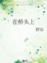 《在桥头上》全本TXT下载-作者：舒远杜南星
