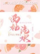 《西柚汽水》全本TXT下载-作者：尽仙