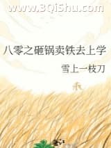 《八零之砸锅卖铁去上学》全本TXT下载-作者：雪上一枝刀