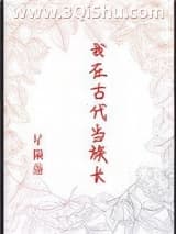 《我在古代当族长》全本TXT下载-作者：星陨落
