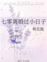 七零离婚过小日子小说