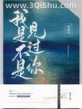 我是不是见过你小说