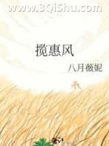 《揽惠风》全本TXT下载-作者：八月薇妮