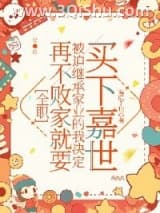 《[全职]再不败家就要被迫继承家业的我决定买下嘉世》全本TXT下载-作者：雾隐千川