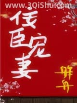 《佞臣宠妻（双重生）》全本TXT下载-作者：舴舟
