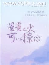 《星星之火，可以撩你》全本TXT下载-作者：西方经济学