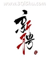 新聘小说